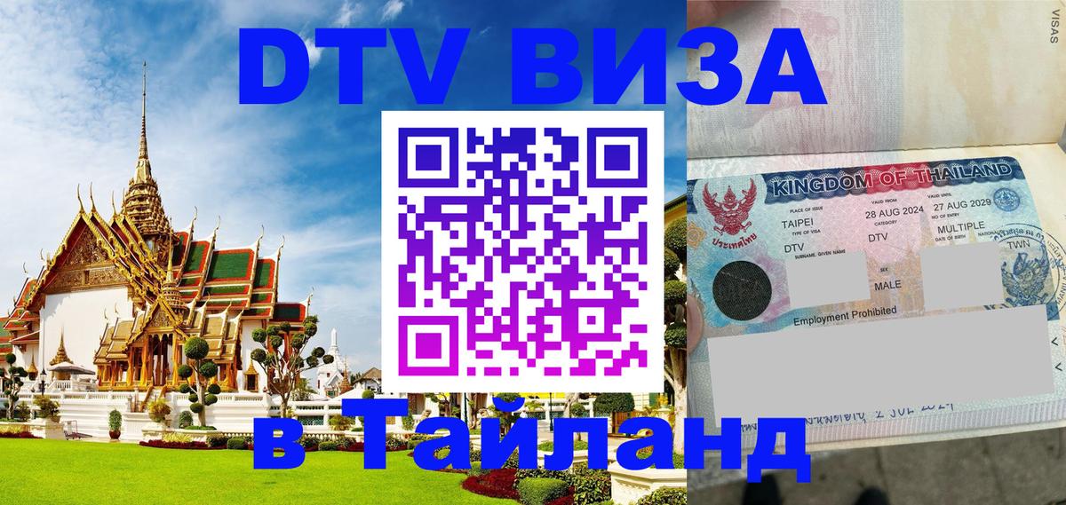 Сколько стоит DTV виза — актуальные цены, оформление даже без документов - Бердск 